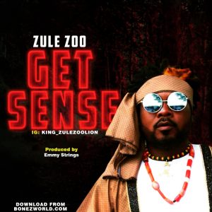 Zule Zoo - Get Sense