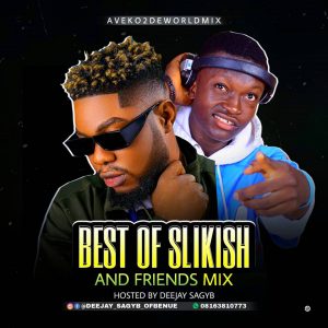 DJ Sagy B - BEST OF SLIKISH and FRIIENDS (Aveko2deWorldMIX)